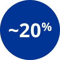 20%