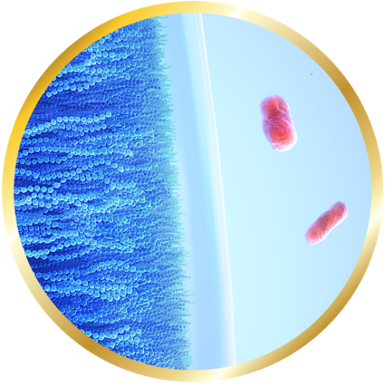 Close-up illustration of a contact lens material showing a detailed surface structure with a smooth edge and two red bacterial cells floating nearby in a clear background.