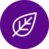 Icon of a leaf on a purple circle