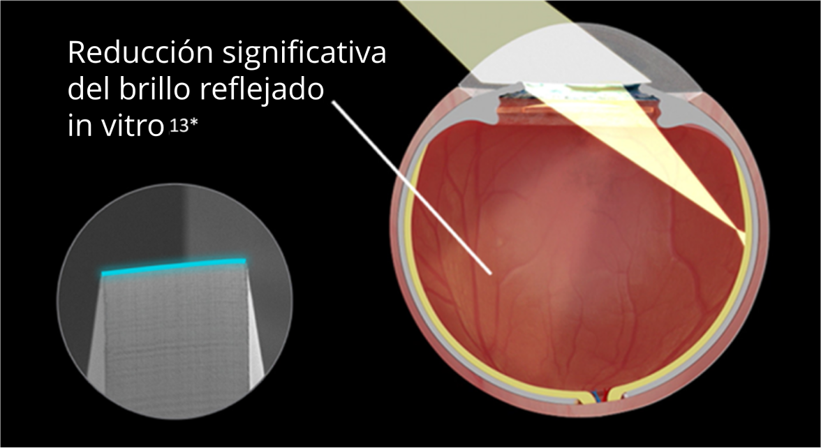 Imagen interna de un ojo con la LIO Clareon implantada sobre fondo negro. Al entrar la luz en los ojos, la imagen muestra la reducción significativa del glare reflejado in vitro. Una imagen en otra burbuja resalta el diseño del borde de la LIO Clareon.