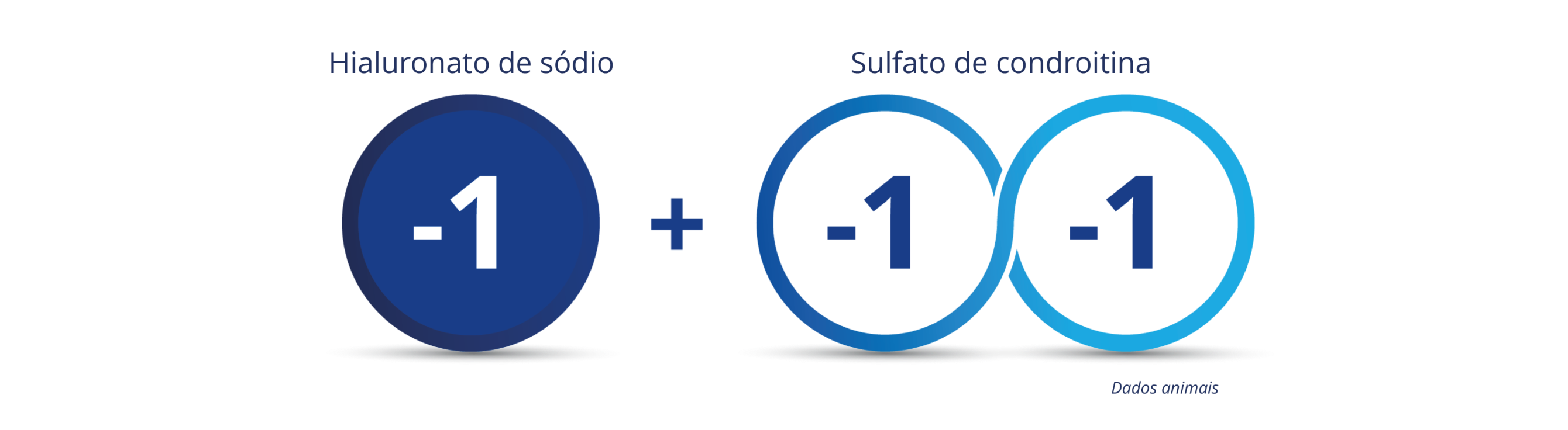 Círculo azul escuro com o número “-1” ao centro para indicar a carga do hialuronato de sódio. 2 círculos azuis interligados, ambos com os números “-1” ao centro, para indicar a carga duplamente negativa do sulfato de condroitina. O sinal de soma entre o círculo azul escuro e os 2 círculos interligados ilustra a ocorrência de uma carga triplamente negativa quando o hialuronato de sódio é combinado com o sulfato de condroitina.  